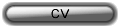 CV conception de sites